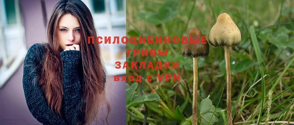мефедрон Богородицк